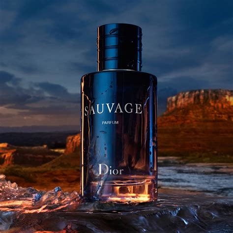 dior sauvage 100 ml ici paris|dior sauvage cheapest price.